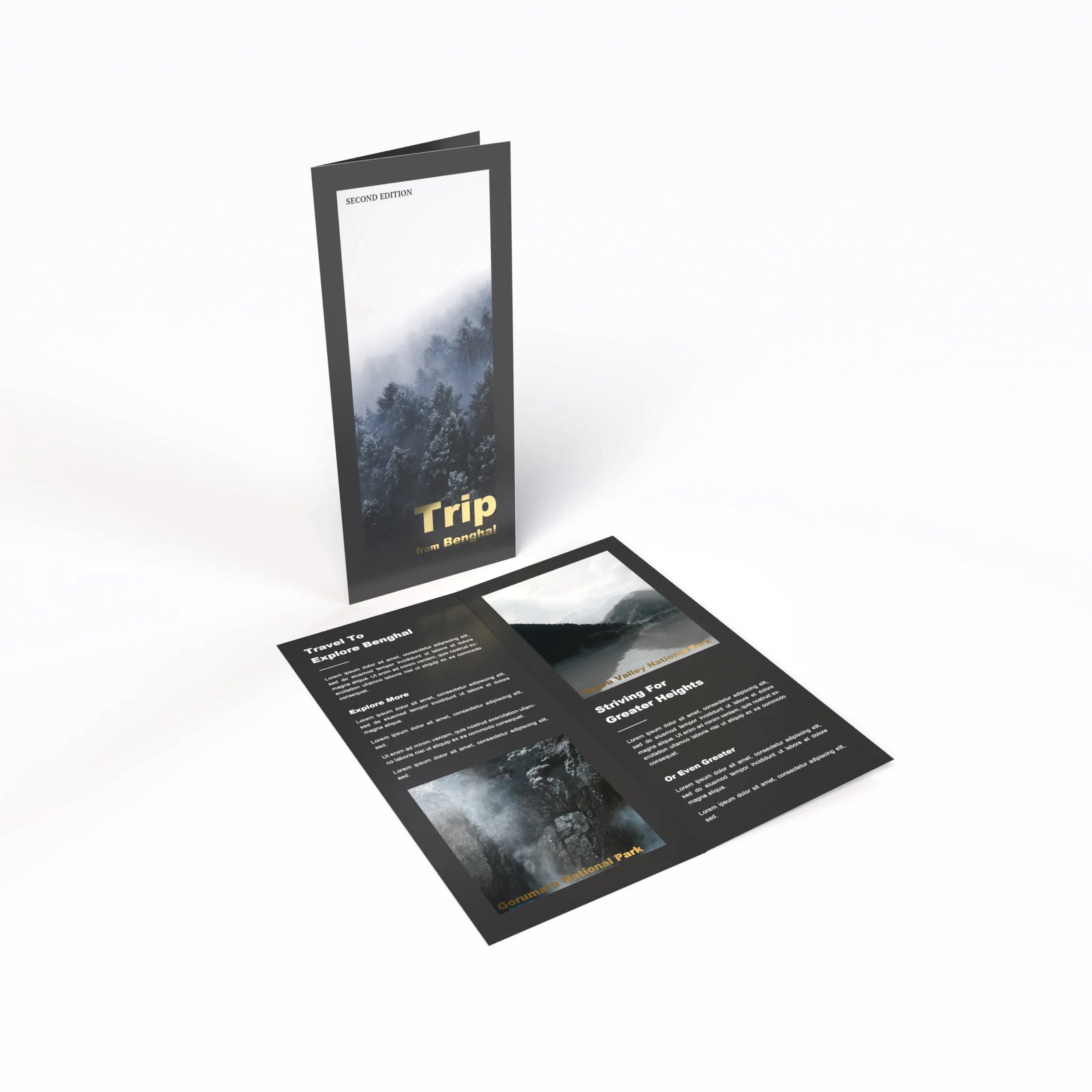 Foil Brochures