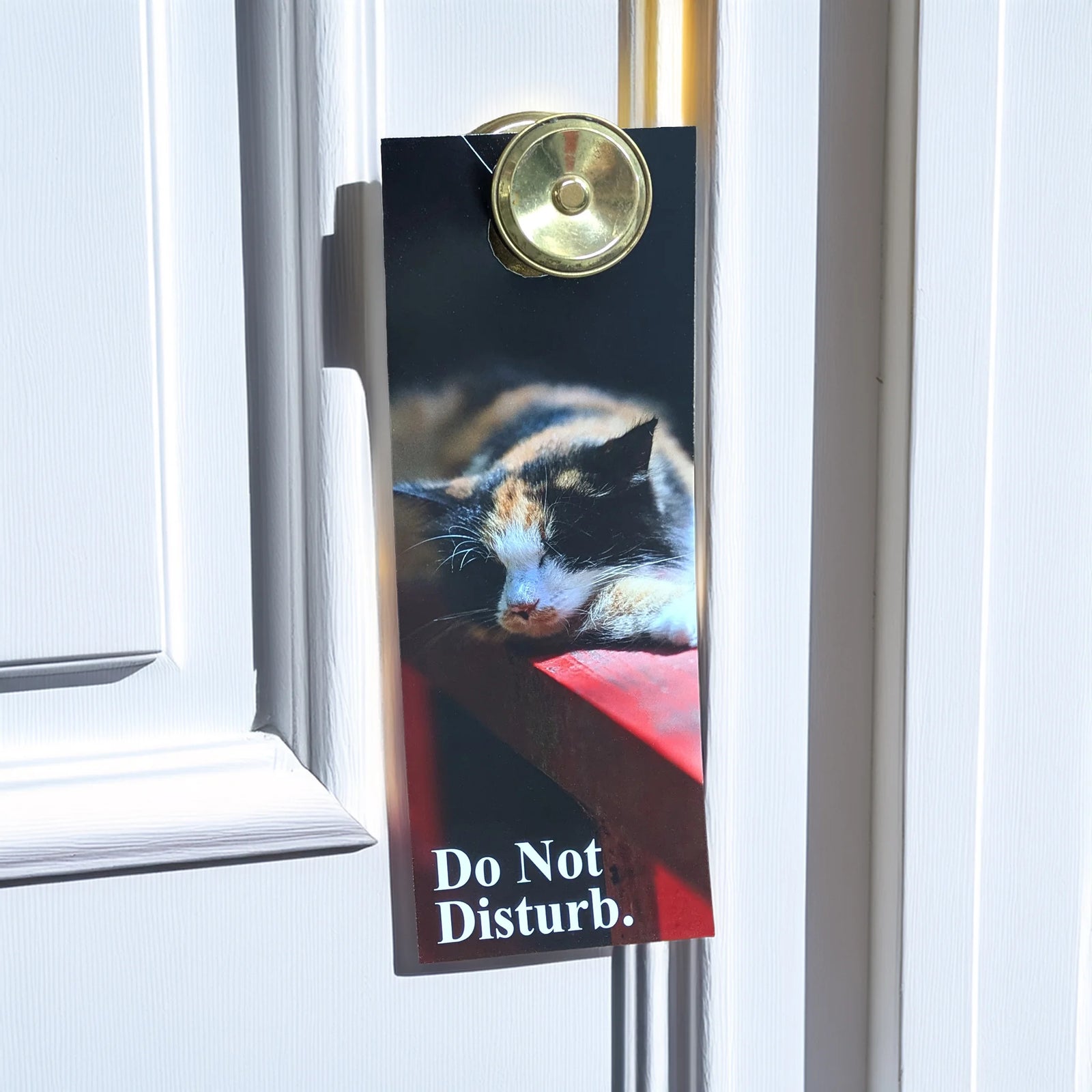 Door Hangers